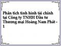 Phân tích tình hình tài chính tại Công ty TNHH Đầu tư Thương mại Hoàng Nam Phát - 1