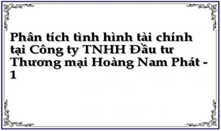 Phân tích tình hình tài chính tại Công ty TNHH Đầu tư Thương mại Hoàng Nam Phát