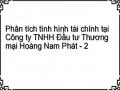 Phân tích tình hình tài chính tại Công ty TNHH Đầu tư Thương mại Hoàng Nam Phát - 2