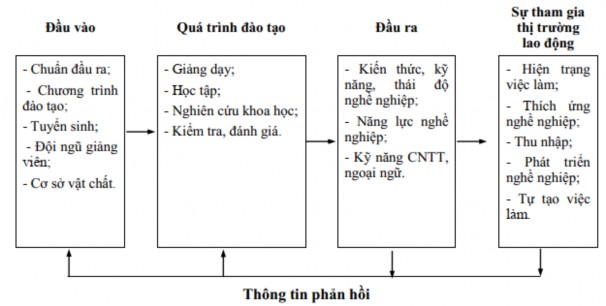 Hình 1 2 Mô hình tổng thể quá trình đào tạo đại học nguồn Trần Khánh 2