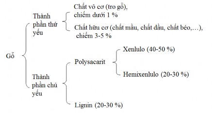2 1 1 1 Cellulose Hình 2 1 Các thành phần hóa học cấu tạo nên gỗ Nguồn Lê 10