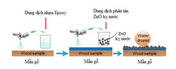 Hình 4 28 Quy trình phủ epoxy và ZnO lên gỗ Cấu trúc vi mô của gỗ không phủ 3