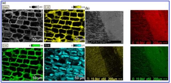 Hình 1 1 Ảnh hiển vi SEM a ESEM b và sự phân bố hợp chất của TiO 2 khi tẩm 1