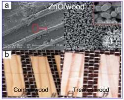 Hình 1 3 Ảnh SEM của vật liệu ZnO gỗ a và ảnh quang học của vật liệu vô 3