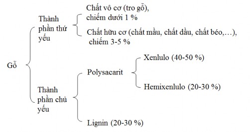 Hình 3 1 Các thành phần hóa học cấu tạo nên gỗ 2 1 1 Xenlulo Xenlulo là 1