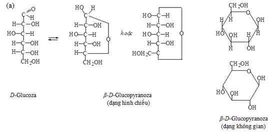 Hình 3 2 Cấu tạo hóa học của xenlulo và các sản phẩm thủy phân xenlulo đã 2