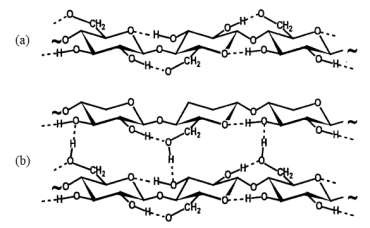 Hình 3 3 Liên kết hydro trong vách tế bào gỗ a Liên kết hydro nội phân tử 3