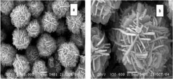 Nhóm của Yang Peidong lợi dụng điều kiện pha lỏng chế tạo ra mảng nano dạng 1