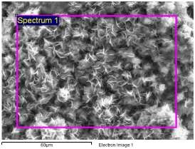 Hình 3 3 Vị trí lựa chọn phân tích thành phần nguyên tố Hình 4 4 Phổ tán 11