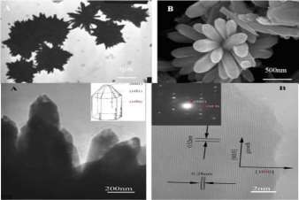 b độ phóng đại 30000x Hình 3 11 Ảnh TEM SEM HRTEM của ZnO dạng hoa cúc Hình 2