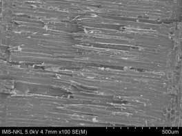 a Mẫu không phủ b Mẫu phủ Hình 4 1 Hình ảnh cấu trúc bề mặt của gỗ 4