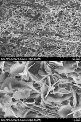 Hình 4 1 Hình ảnh cấu trúc bề mặt của gỗ Bồ đề đối chứng và gỗ bồ 6