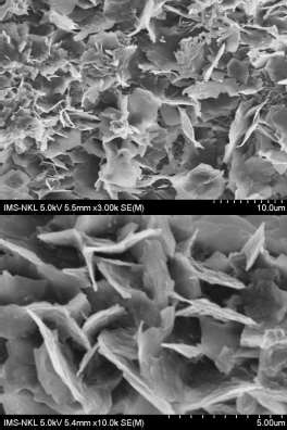 Hình 4 1 Hình ảnh cấu trúc bề mặt của gỗ Bồ đề đối chứng và gỗ bồ 7