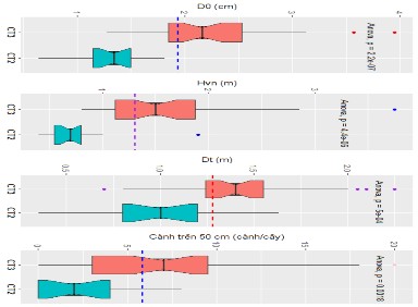 Hình 3 11 Phân tích thống kê một số chỉ tiêu sinh trưởng cây Phi lao trồng 5
