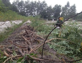 Hình 3 28 Canh tác nông lâm kết hợp tại khu vực nghiên cứu Bên cạnh đó cần 4