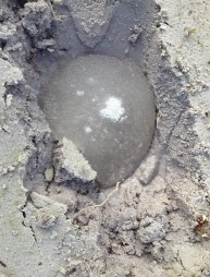 Hình 2 2 Chất giữ ẩm khi trồng sau 6 và 9 tháng thí nghiệm Vật liệu thí 2