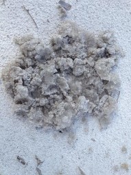 Hình 2 2 Chất giữ ẩm khi trồng sau 6 và 9 tháng thí nghiệm Vật liệu thí 3