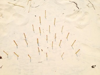 Hình 2 6 Bố trí thí nghiệm đo chiều cao cát bốc và cát lấp ở bên ngoài đai 4