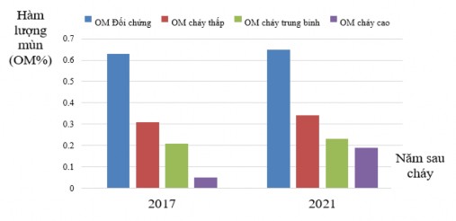 Hình 3 3 Thay đổi hàm lượng mùn theo năm trên các cấp độ cháy Kết quả 2