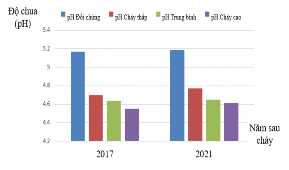 Hình 3 4 Thay đổi độ pH theo năm trên các cấp độ cháy Kết quả được thể 3