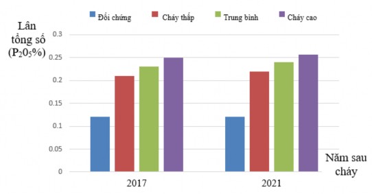 Hình 3 6 Thay đổi lân tổng số P 2 0 5 theo năm trên các cấp độ cháy Khác 5