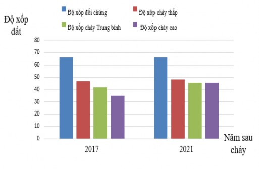 Hình 3 8 Thay đổi độ xốp đất theo năm trên các cấp độ cháy Kết quả 1