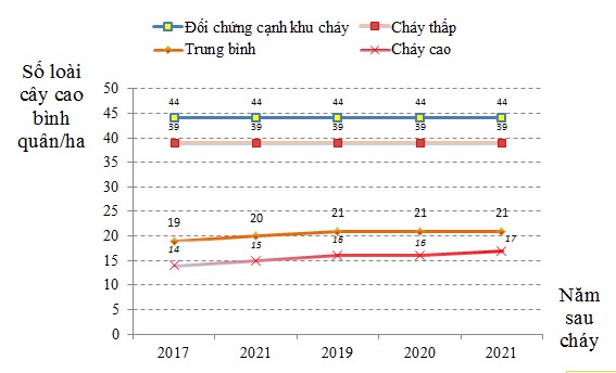 Hình 3 11 Thay đổi số lượng loài theo năm trên các cấp độ cháy Kết quả 1