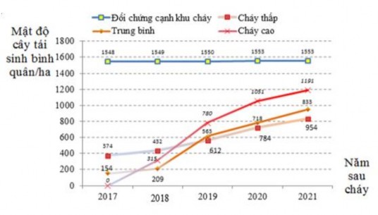 Hình 3 13 Thay đổi mật độ tái sinh theo thời gian trên các cấp độ cháy Kết 3