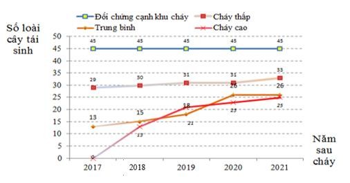 Hình 3 14 Thay đổi số lượng loài theo thời gian trên các cấp độ cháy 4