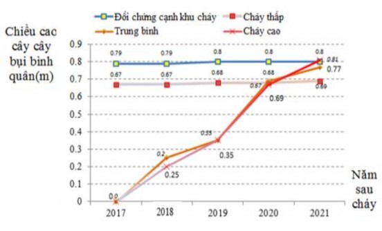 Hình 3 15 Thay đổi chiều cao bình quân theo thời gian trên các cấp độ cháy Kết 1