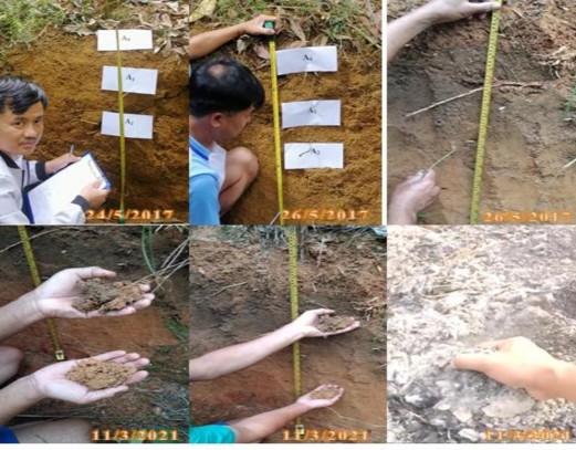 Hình 2 5 Một số hình ảnh phẫn diện và lấy mẫu đất 3