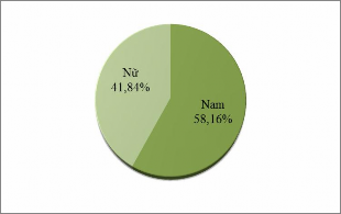 Hình 3 2 Cơ cấu nhân lực quản trị tại các doanh nghiệp lữ hành quốc tế 2