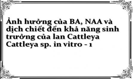 Ảnh hưởng của BA, NAA và dịch chiết đến khả năng sinh trưởng của lan Cattleya Cattleya sp. in vitro - 1
