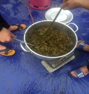 Hình 5 Cân gỗ Hình 6 Đun vỏ và lá bạch đàn 60 o C Hình 7 Dịch chiết đã 6