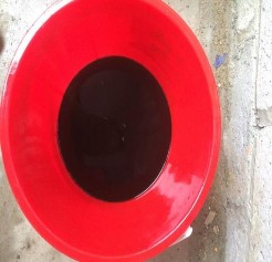 Hình 7 Dịch chiết đã lọc Hình 8 Đặt hộp nhử mối 7