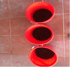 Hình 3 2 Ngâm vỏ và lá cây Bạch Hình 3 3 Lọc dịch chiết đàn Hình 3 4 Pha 2