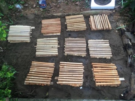 Hình 3 9 Đặt mẫu thử nấm Chỉ tiêu đánh giá Hiệu lực của thuốc bảo 9