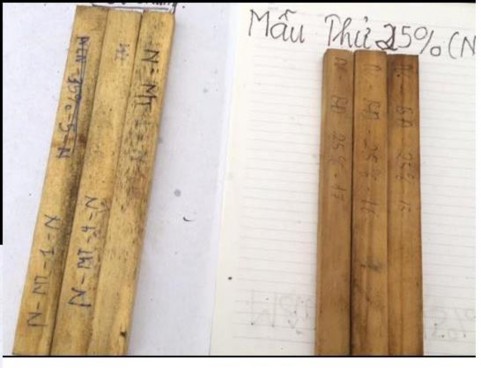 Hình 4 3 Hình ảnh so sánh hiệu lực đối với nấm của mẫu gỗ ngâm chế phẩm 2