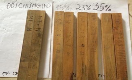 Hình 4 5 Hình ảnh so sánh hiệu lực đối với nấm của mẫu gỗ ngâm chế phẩm 4