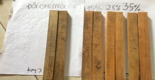 Hình 4 9 Hình ảnh so sánh hiệu lực đối với nấm của mẫu gỗ ngâm chế phẩm 3