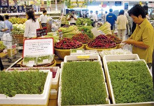 Nguồn http www sgtt com vn detail41 aspx Hìn h 2 Một Lớp huấn Luyện IPM Trên Rau 1