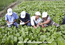 Nguồn http www mard gov vn PPDHCMC html RAT nam 202007 Hình 3 Rau an toàn Vissan Sự 2