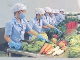 Nguồn http www vissan com vn vn news php id 74 3