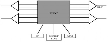 Hình 2 8 Một OXC cung cấp nhiều chức năng chính trong một mạng rộng • Cung cấp 8