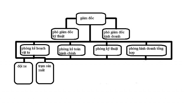 Giám đốc Công ty Lãnh đạo và điều hành mọi hoạt động SXKD của Công ty và 1