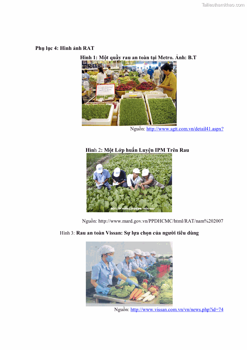 Khóa luận tốt nghiệp kinh tế nông lâm Các nhân tố ảnh hưởng đến việc lựa chọn rau an toàn của người tiêu dùng - 9 Trang 100