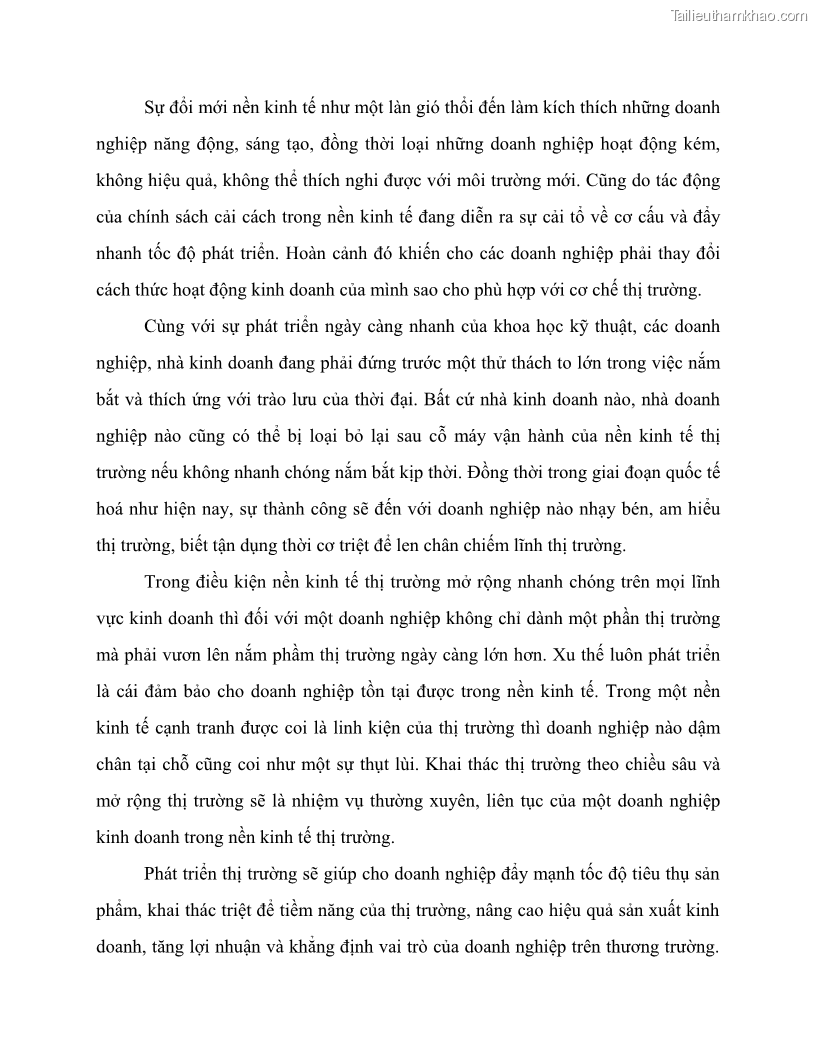 Khóa luận tốt nghiệp marketing Giải pháp mở rộng thị trường tiêu thụ sản phẩm tại công ty TNHH Thương mại dịch vụ tổng hợp Trường Hưng Thịnh - 2 Trang 19