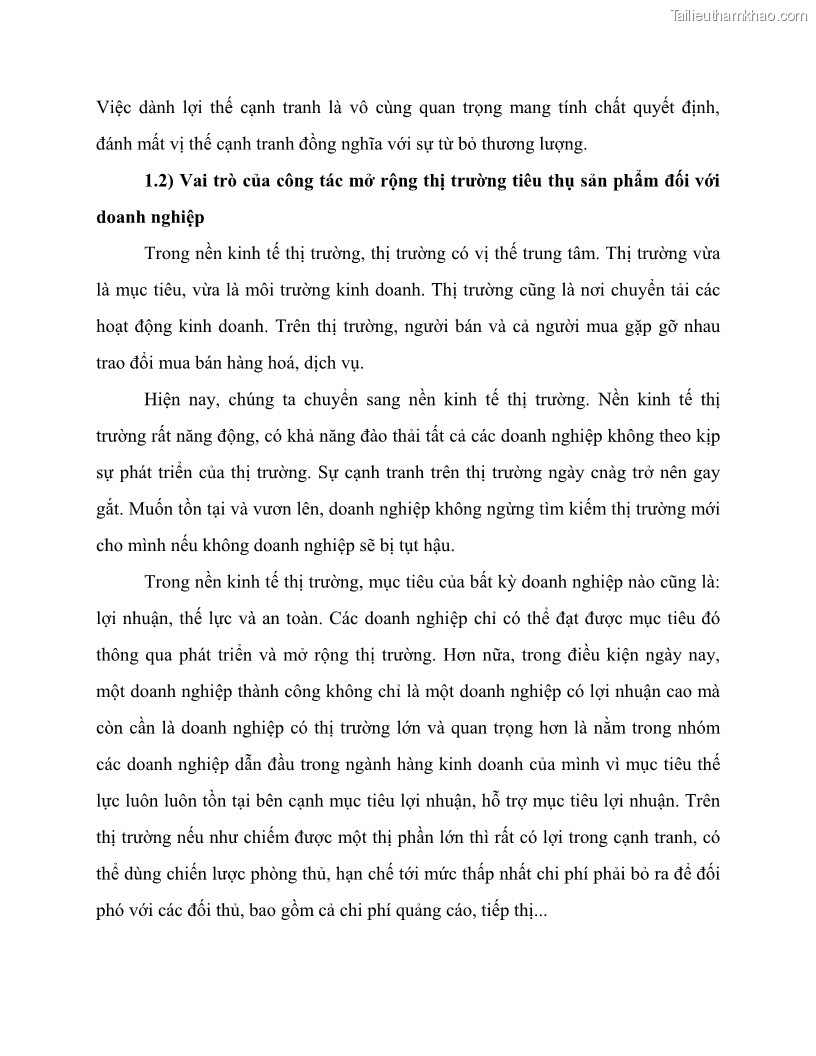 Khóa luận tốt nghiệp marketing Giải pháp mở rộng thị trường tiêu thụ sản phẩm tại công ty TNHH Thương mại dịch vụ tổng hợp Trường Hưng Thịnh - 2 Trang 20
