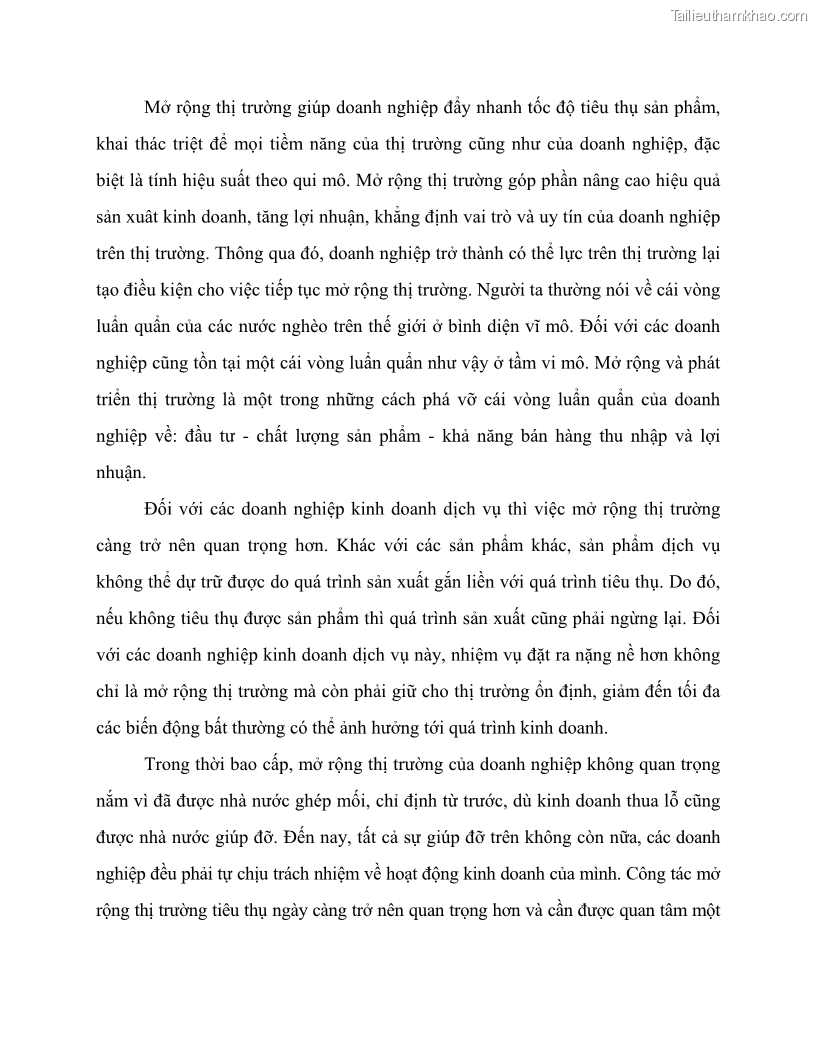 Khóa luận tốt nghiệp marketing Giải pháp mở rộng thị trường tiêu thụ sản phẩm tại công ty TNHH Thương mại dịch vụ tổng hợp Trường Hưng Thịnh - 2 Trang 21