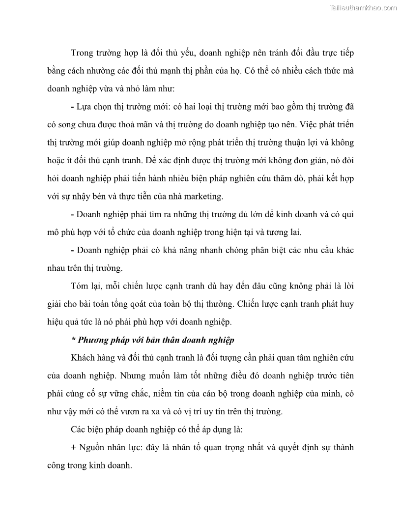 Khóa luận tốt nghiệp marketing Giải pháp mở rộng thị trường tiêu thụ sản phẩm tại công ty TNHH Thương mại dịch vụ tổng hợp Trường Hưng Thịnh - 3 Trang 29